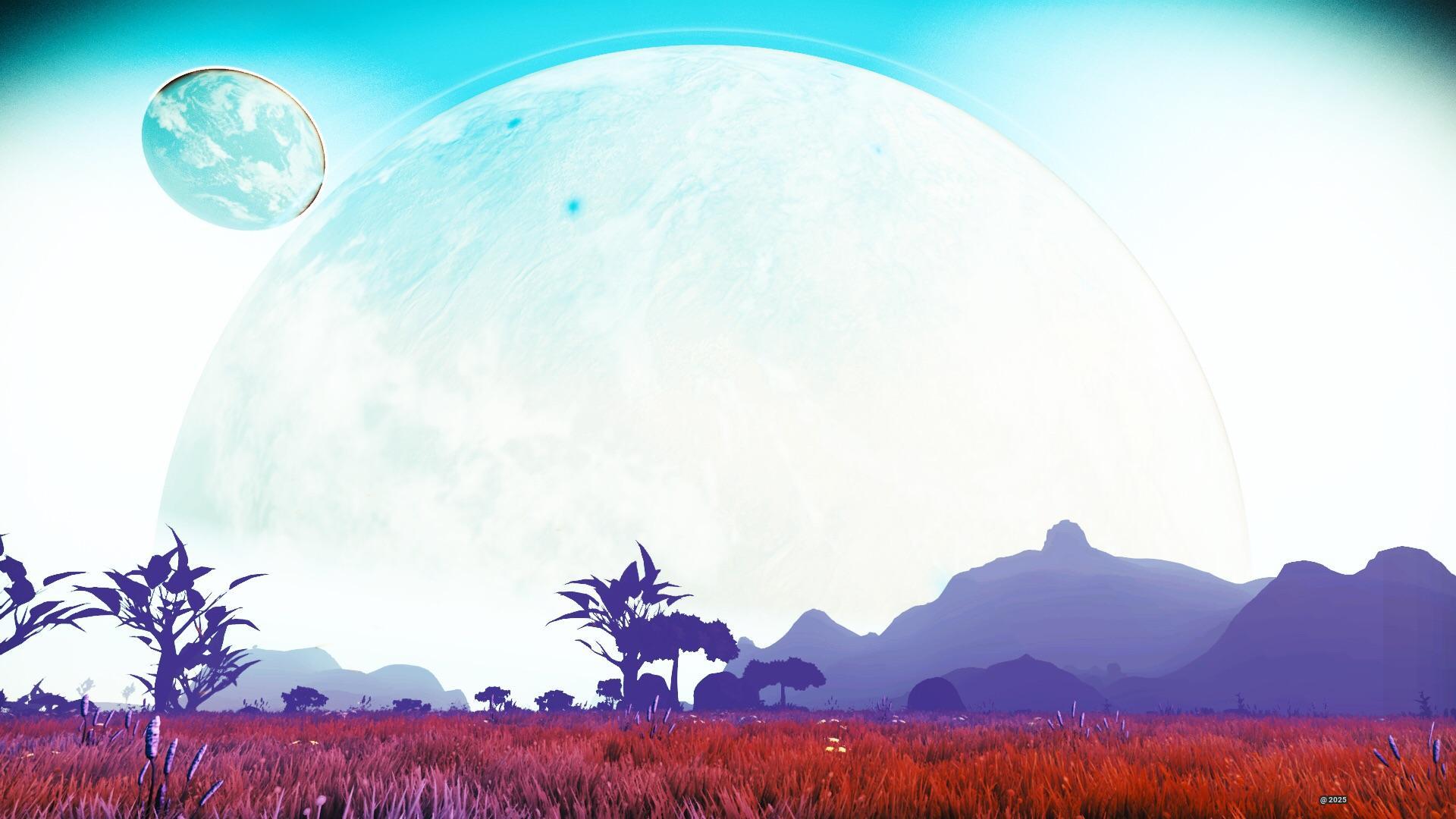 White Horizon